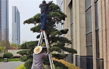 沙湖九号接待中心