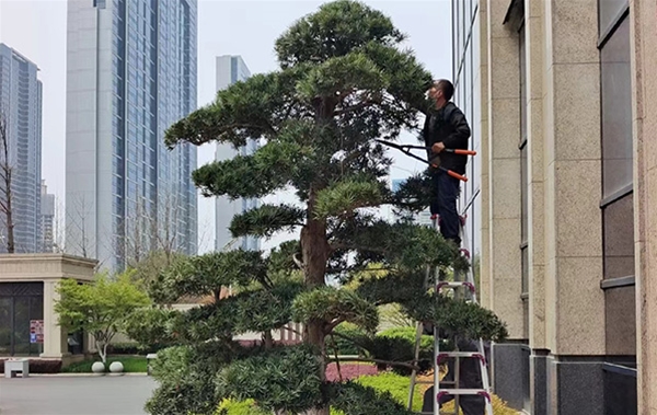 沙湖九号接待中心